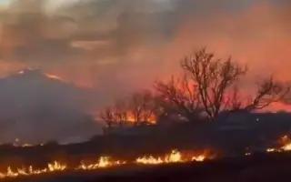 Imagen Varios incendios fuera de control mantienen en alerta a miles de ciudadanos en Texas