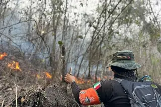 Imagen Intensifican acciones para sofocar incendios en Altas Montañas
