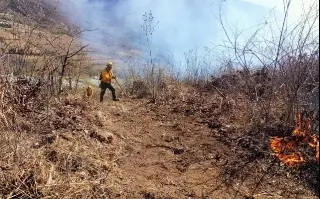 Imagen Hay 6 incendios activos en Veracruz, la mayoría en Las Altas Montañas