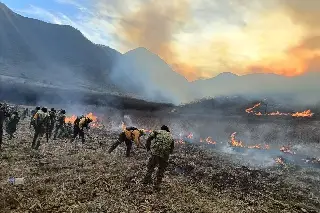 Imagen Actualización | Hay 7 incendios forestales activos en el estado de Veracruz 