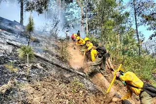 Imagen Hay 95 incendios forestales en México, reporta Conafor