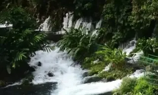 Imagen Así puedes llegar al lugar 'Nace un río, un oasis en Veracruz'