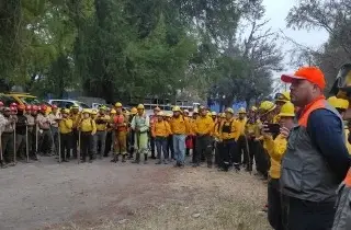 Imagen Afirman que combate de incendios en Altas Montañas va en reducción 