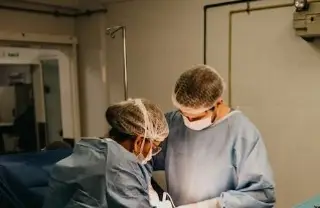 Imagen Primer paciente trasplantado con un riñón de cerdo es dado de alta