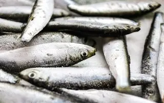 Imagen Comer más sardinas y menos carne roja podría salvar vidas, según estudio