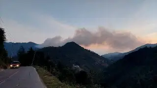 Imagen Voluntarios combaten nuevo incendio forestal en región montañosa de Veracruz