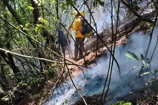 Imagen Incendio forestal en Río Blanco con 60% de control y 40% de liquidación, piden mas voluntarios