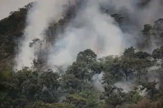 Solicitan apoyo aéreo para combatir incendio forestal en Río Blanco, Veracruz