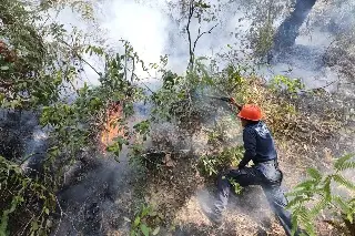 PC reporta 70% de control y 50% de liquidación en incendio forestal de Río Blanco, Veracruz
