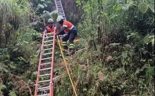 Imagen Rescatan a hombre que cayó a un barranco de 30 metros en Ixtaczoquitlán
