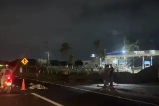 Imagen Muere hombre atropellado en autopista Veracruz-Cardel
