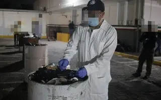 Imagen FGR incinera más de 200 kilos de droga incautada en colonia del puerto de Veracruz 