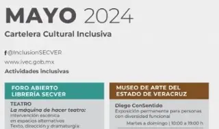 Imagen Invitan a las actividades con enfoque inclusivo en el puerto de Veracruz y 4 municipios