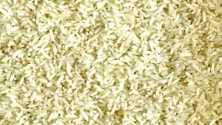Imagen Científicos cultivan por primera vez arroz de cosecha rápida en zonas desérticas de China