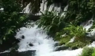 Imagen ¿Cómo llegar al lugar 'Nace un río, un oasis en Veracruz'?