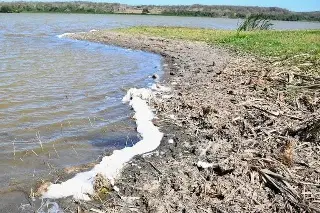 Imagen Urgen rescatar lagunas de Veracruz
