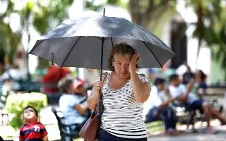 Imagen Dos municipios de Veracruz registran sensación térmica de más de 50°C 