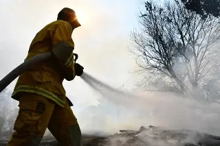 Imagen Incendio forestal en San Julián, Veracruz; mantienen vigilancia 