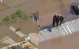Imagen Rescatan a caballo que quedó atrapado en techo por las inundaciones en Brasil (+video)
