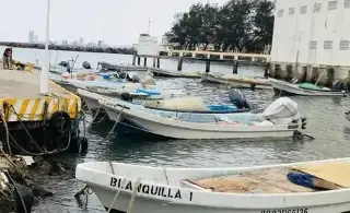 Imagen Baja la producción de pescado por altas temperaturas en Veracruz 