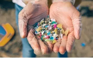 Imagen Detectan presencia de microplásticos en siete lagunas en Veracruz 