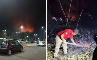 Imagen Liquidan incendio en parque Natura de Xalapa; no hay lesionados