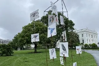 Imagen Abren al público durante la primavera los históricos jardines de la casa Casa Blanca  