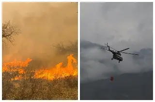 Imagen Incendios forestales han afectado casi 5 mil hectáreas de bosque en Veracruz: Conafor