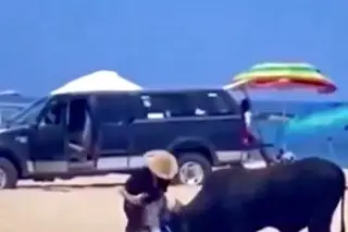 Imagen Toro suelto en la playa sorprende a bañistas; hay 2 mujeres lesionadas