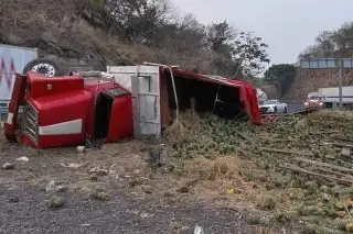 Imagen Vuelca camión en autopista de Veracruz; realizan rapiña de piña 