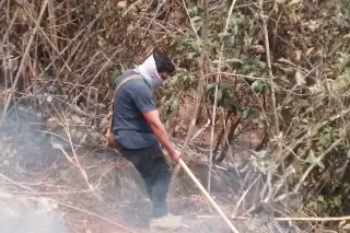 Imagen Varios días podría demorar la liquidación total de incendio forestal en Río Blanco: Especialistas