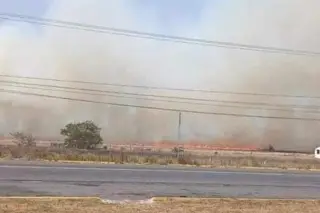 Imagen Evacúan granja de pollos por incendio de pastizal en Alvarado: PC