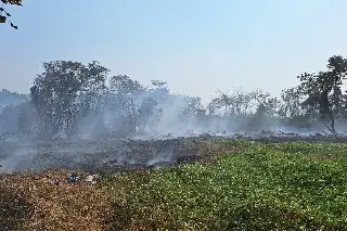 Imagen Olor a quemado y caída de ceniza provoca incendio de pastizal en Boca del Río 
