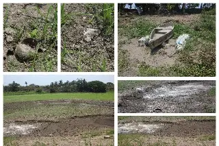 Imagen Una más en la lista de las que se han secado en Veracruz: La Laguna Tarimoya