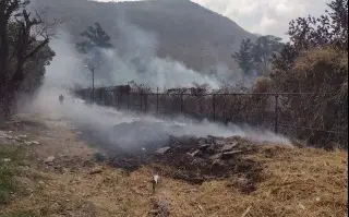 Imagen Fuerte movilización provoca incendio de pastizal en Nogales, Veracruz 