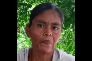 Imagen Desaparece mujer en Veracruz