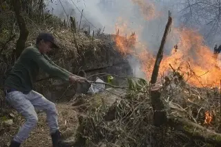 Incendio de Barranca Grande ha devastado 180 hectáreas de bosque