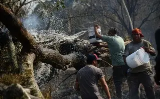 Imagen Incendios forestales devastan en 10 días casi 4 mil hectáreas de bosque
