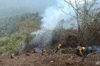 Imagen Incendios forestales dejan 8 mil hectáreas afectadas en Veracruz, reporta Conagua