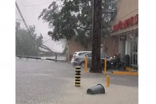Lluvias dejan importantes afectaciones en Coatepec, Veracruz