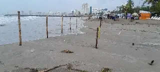 Colocan bandera roja en playas de Boca del Río; en estas playas está permitido surfear 