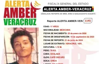 Imagen Emiten Alerta Amber por desaparición de menor en Veracruz