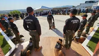 Imagen CEDH emite 21 recomendaciones contra Fuerza Civil en Veracruz