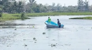Imagen No se ha hecho el dragado de ninguna laguna en Veracruz, sino limpiarlas: PMA