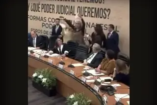 Imagen Diputada trans de Morena intenta agredir a la ministra Norma Piña (+Video)