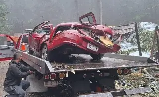 Imagen Muere una persona y 6 más lesionadas pór árbol que cayó sobre camioneta por lluvia