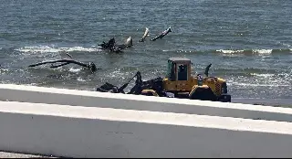Imagen Al día retiran hasta 300 toneladas de palizada en playas de Boca del Río