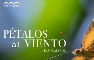 Imagen Presentan la exposición 'Pétalos al viento' de Karo Carvajal