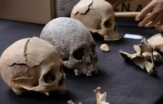 Imagen Restos humanos hallados en el AIFA revelan aspectos de la época prehispánica en México