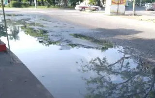 Imagen Reportan una gran fuga de aguas negras en colonia Buena Vista en el municipio de Veracruz 